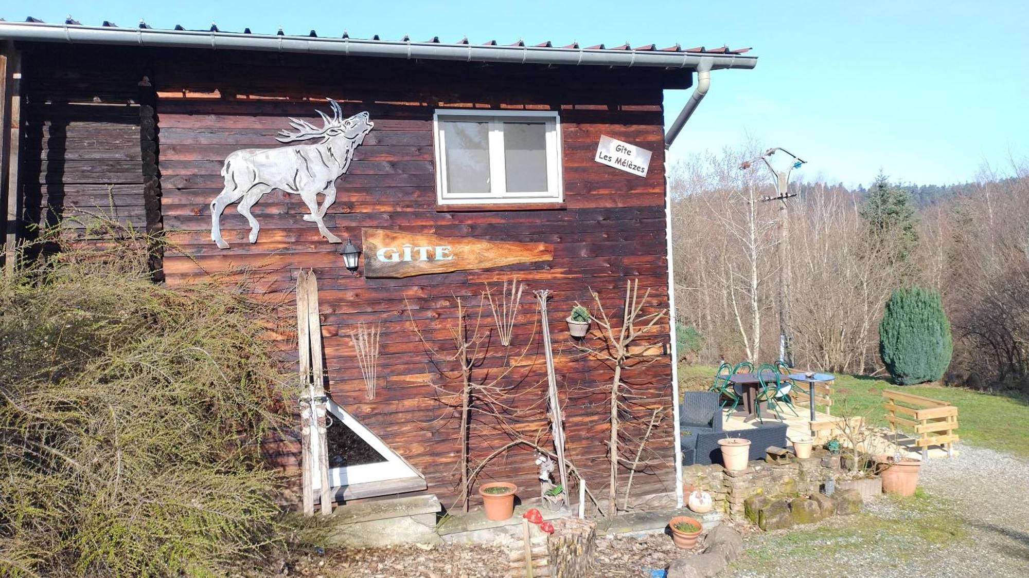 Les Melezes Holiday home Dabo